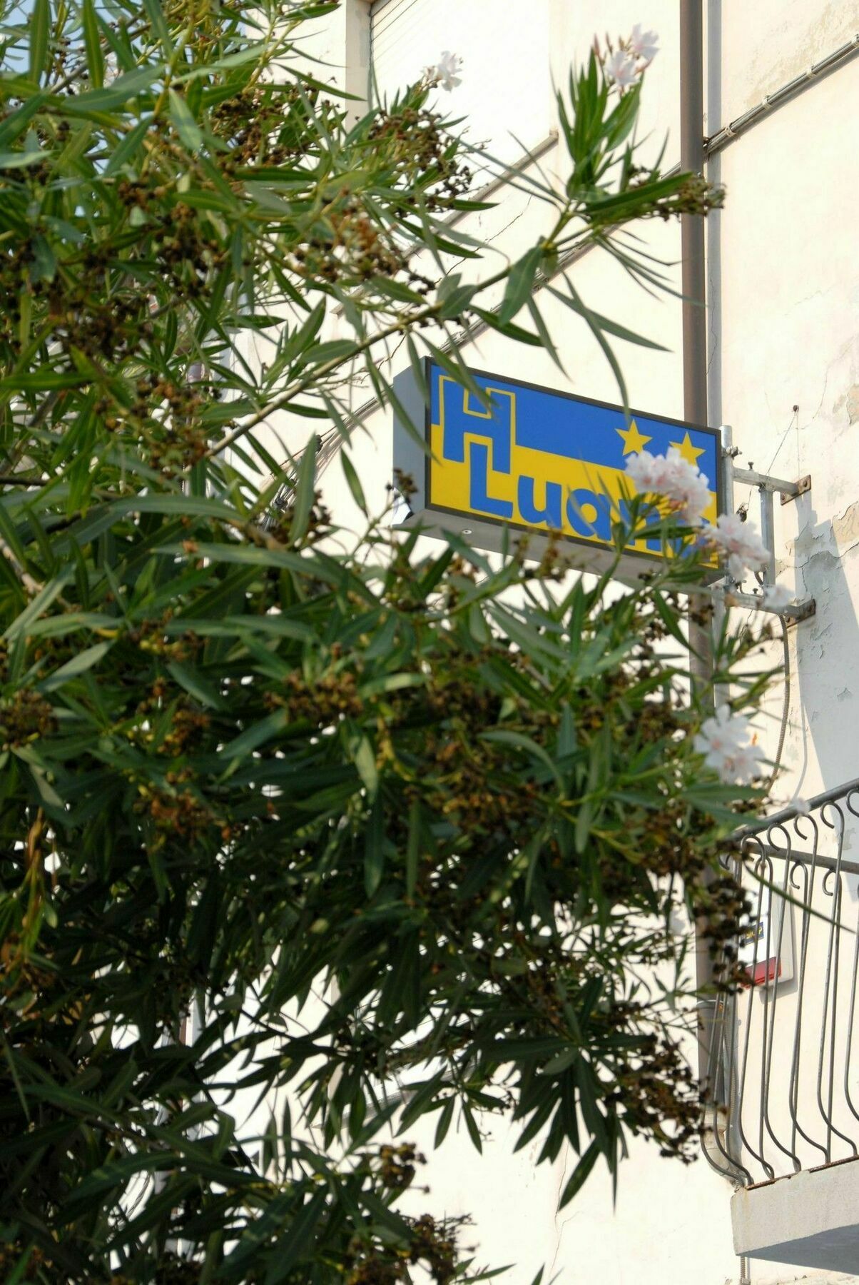 Hotel Luana В'яреджо Екстер'єр фото
